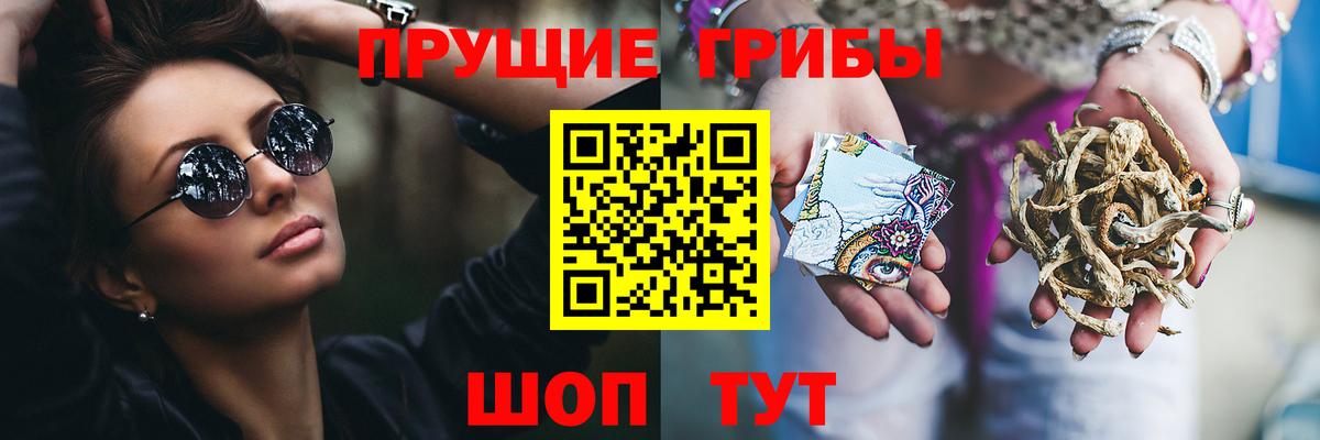 Псилоцибиновые грибы GOLDEN TEACHER Воскресенск